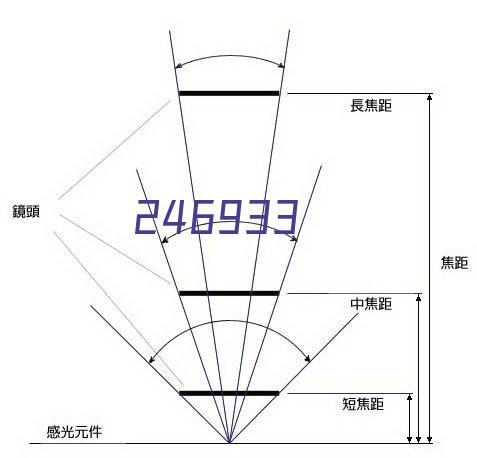 明尼苏达森林狼