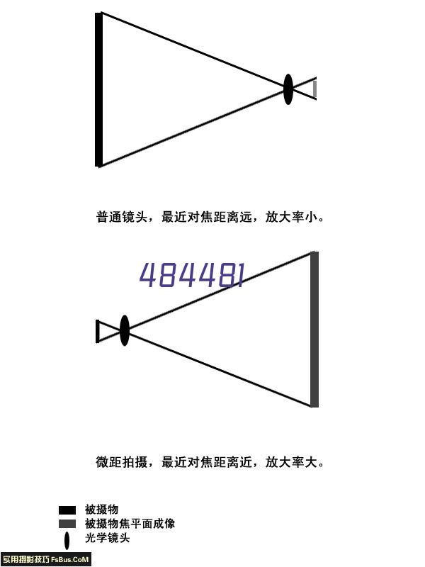 项目展示