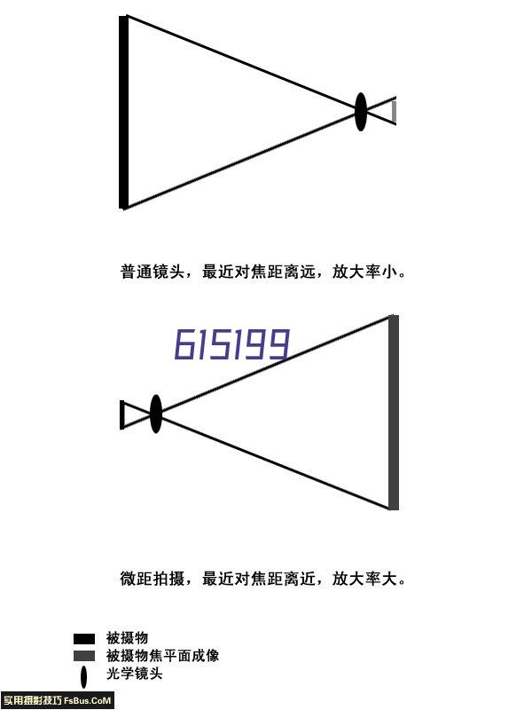 深圳市响阳择校咨询有限公司