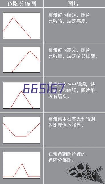 四川夏洛莱牛的常见病症如何预防？