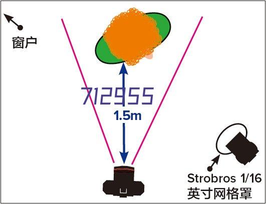 国防部软件现代化实施计划摘要