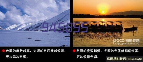 【学习交流】保护湿地、建设美丽鹏城市民摄影大讲堂6月25日顺利开讲