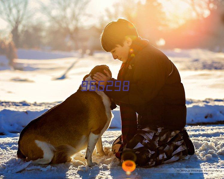 宁夏人力资源服务业外出考察学习圆满结束